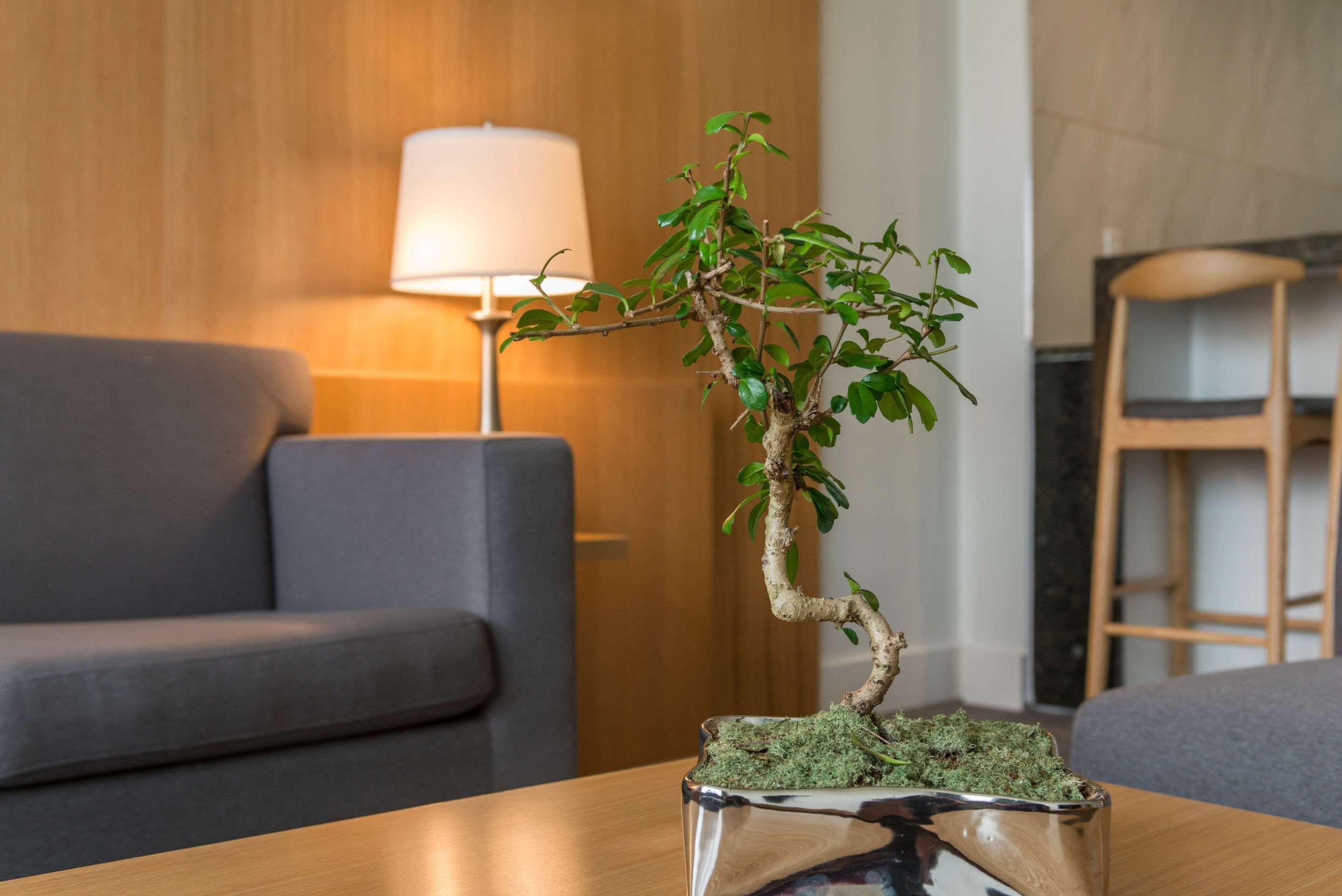The West Wing Boutique Hotel تامبا المظهر الخارجي الصورة